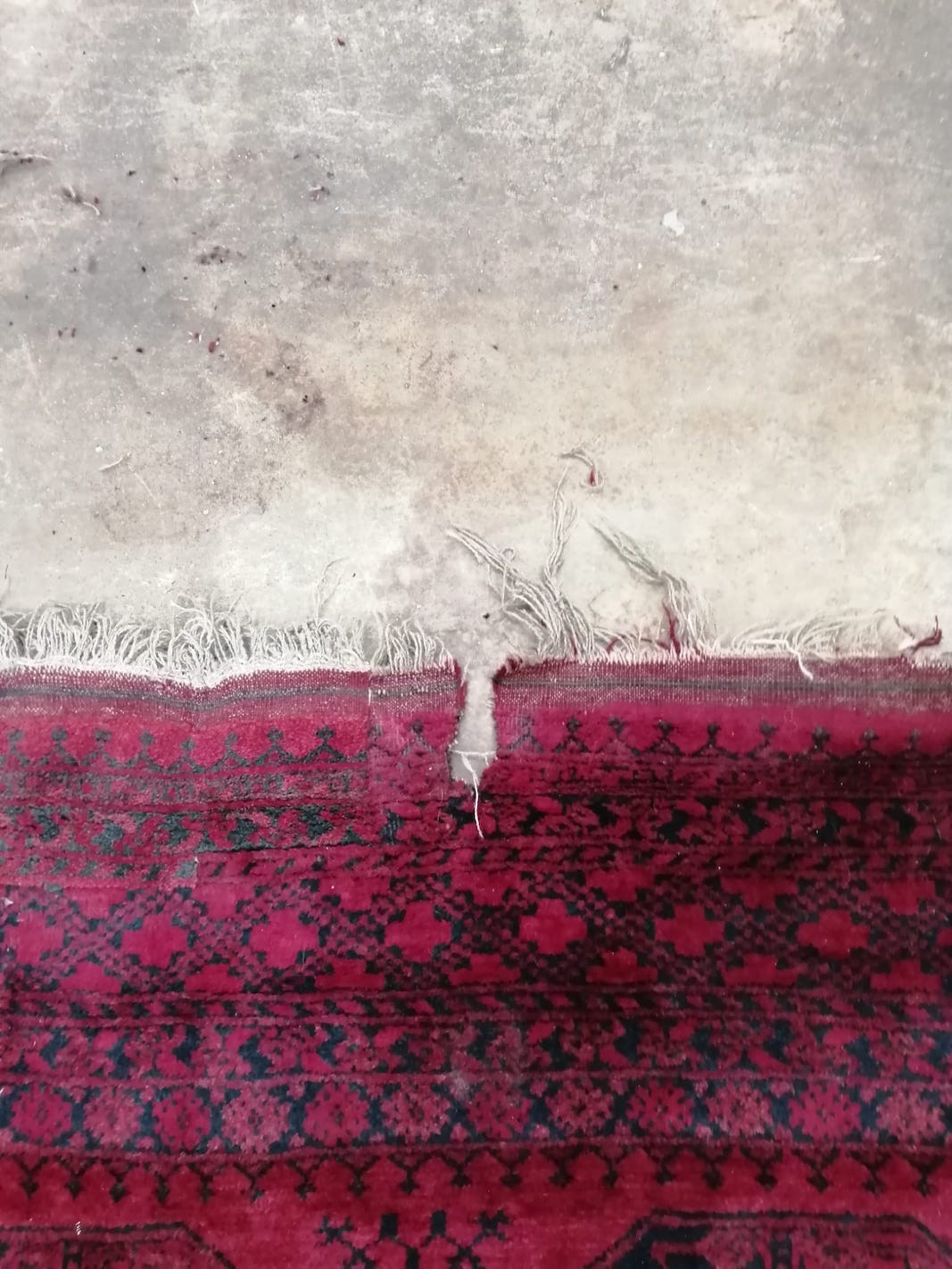 An Afghan red ground carpet (a.f.), 370 x 278cm